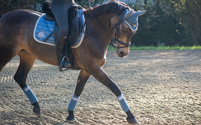 Fine Saddlery dressuur zadel