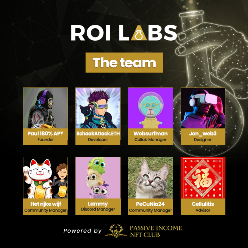 roi_lab_team