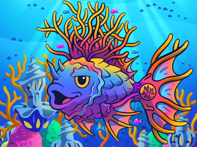solfish-coral-king