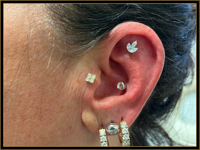 Atelier Pax Tattoo Conch Piercing