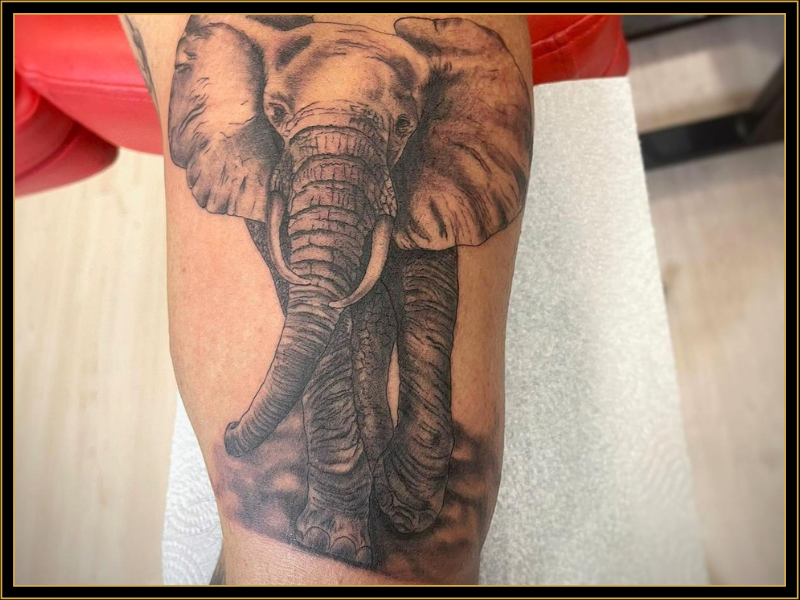 Elephant Tattoo