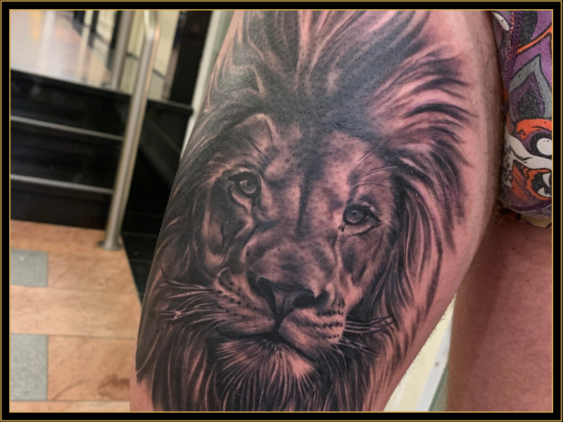 Black and Grey Realism Lion