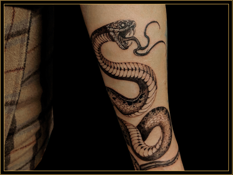 Atelier Pax Tattoo Snake