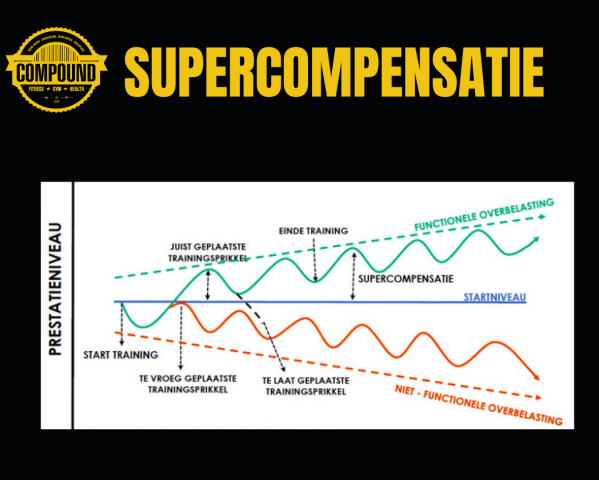 compound muscle