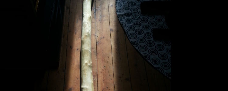 Zelf didgeridoo maken uit zilverberk hout.