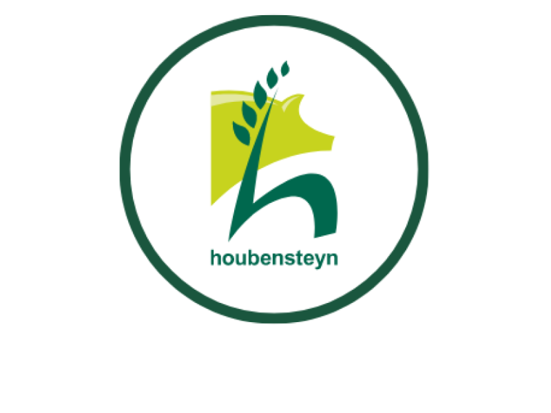 Houbensteyn logo