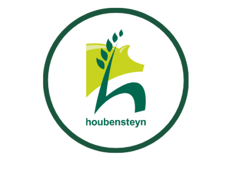 Houbensteyn
