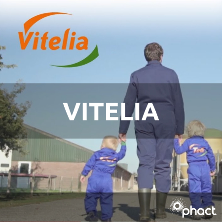 Vitelia Phact