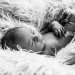 newbornshoot ridderkerk