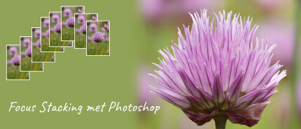 Focus stacking met Photoshop