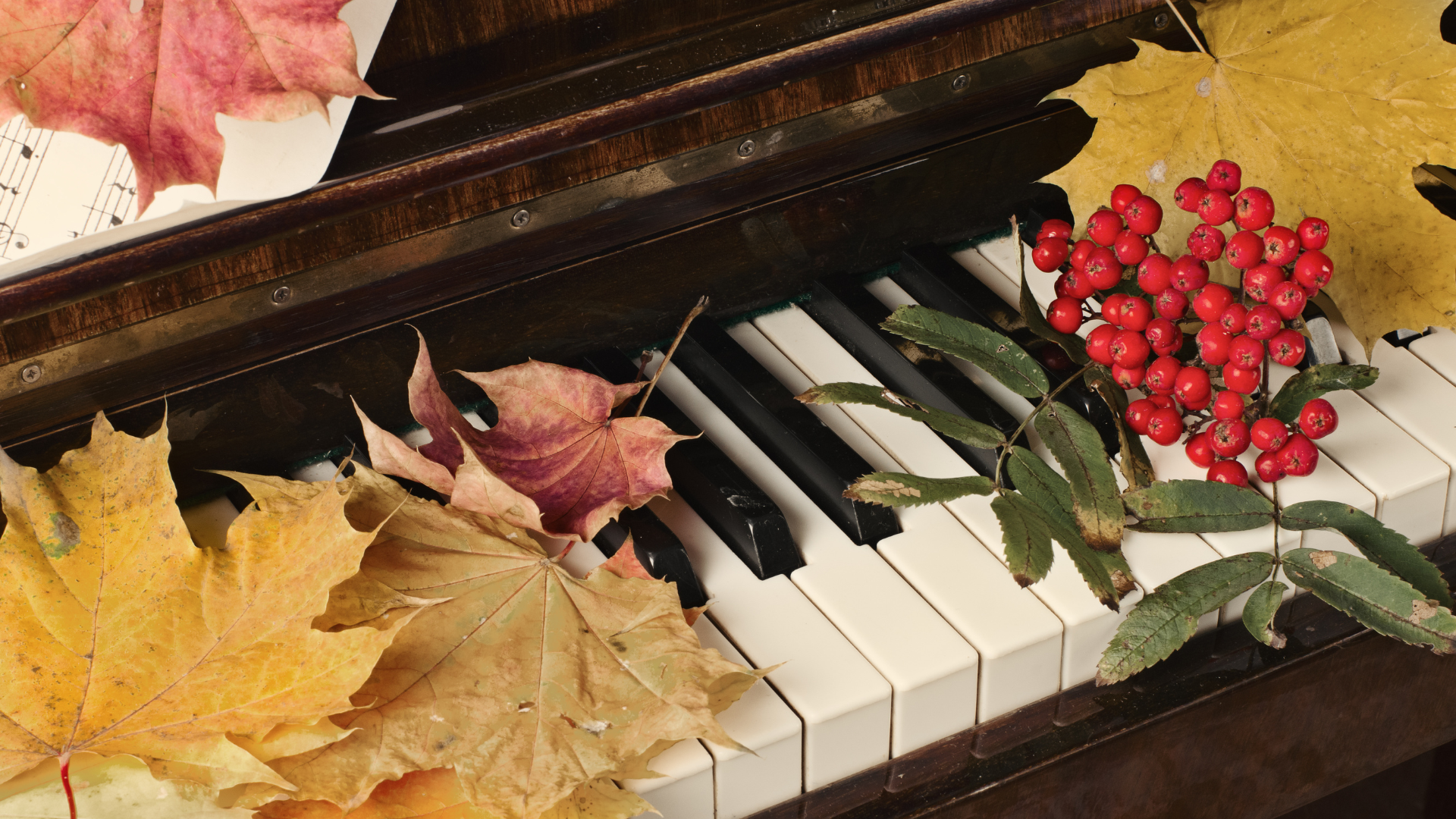 piano herfstaanbieding Rene Knops