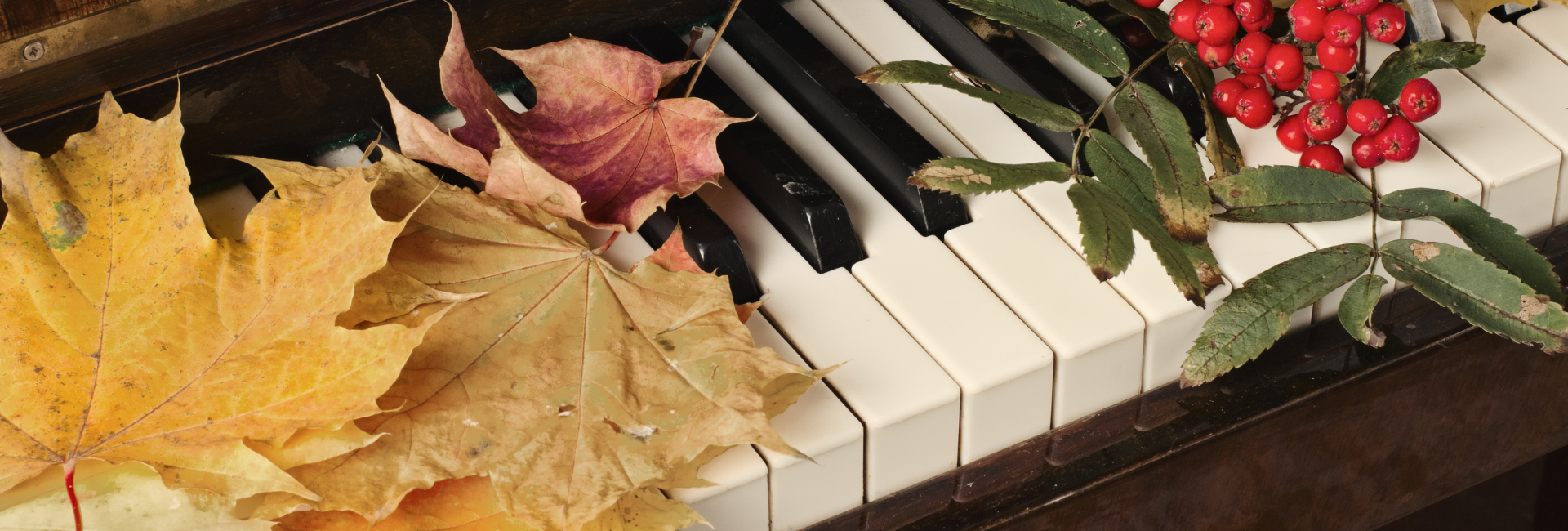 piano herfstaanbieding Rene Knops piano herfstaanbieding Rene Knops