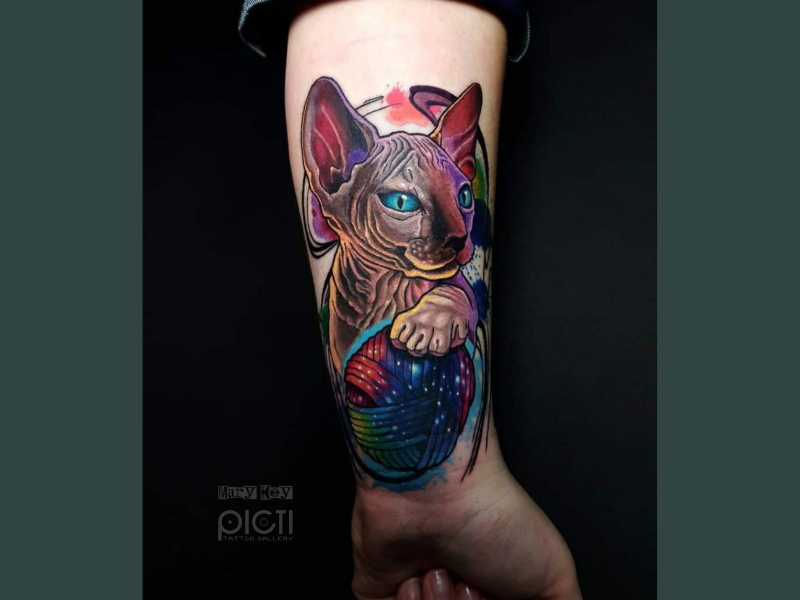 Naakt kat tattoo in neo traditional kleur stijl