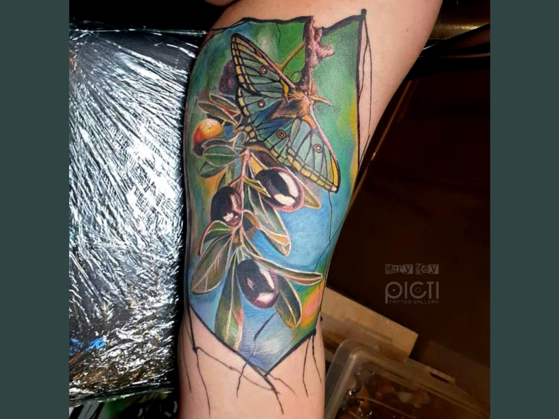 kleuren tattoo van mot op olijftak
