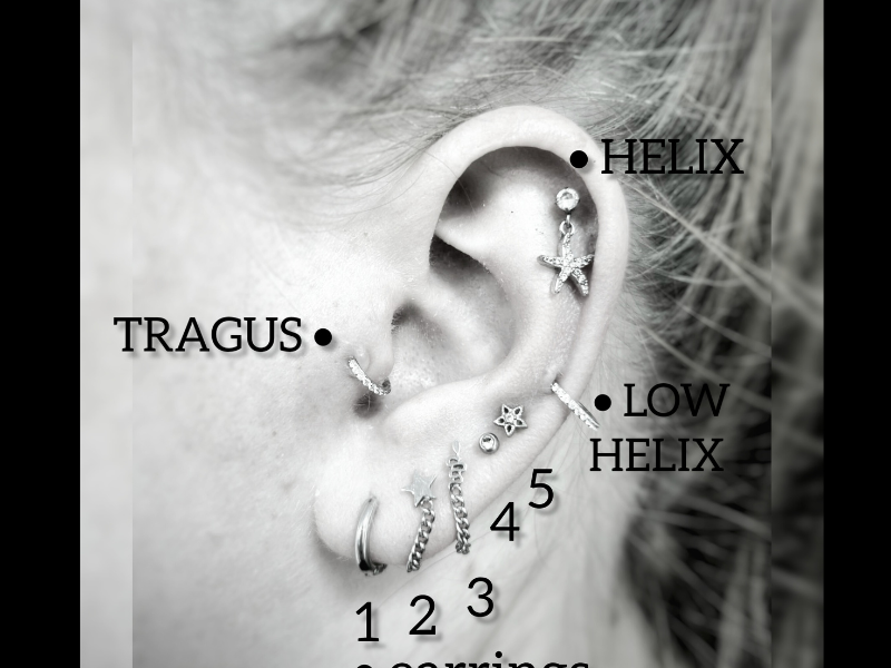 Pierce & Ink Studio Leiden Oorpiercings