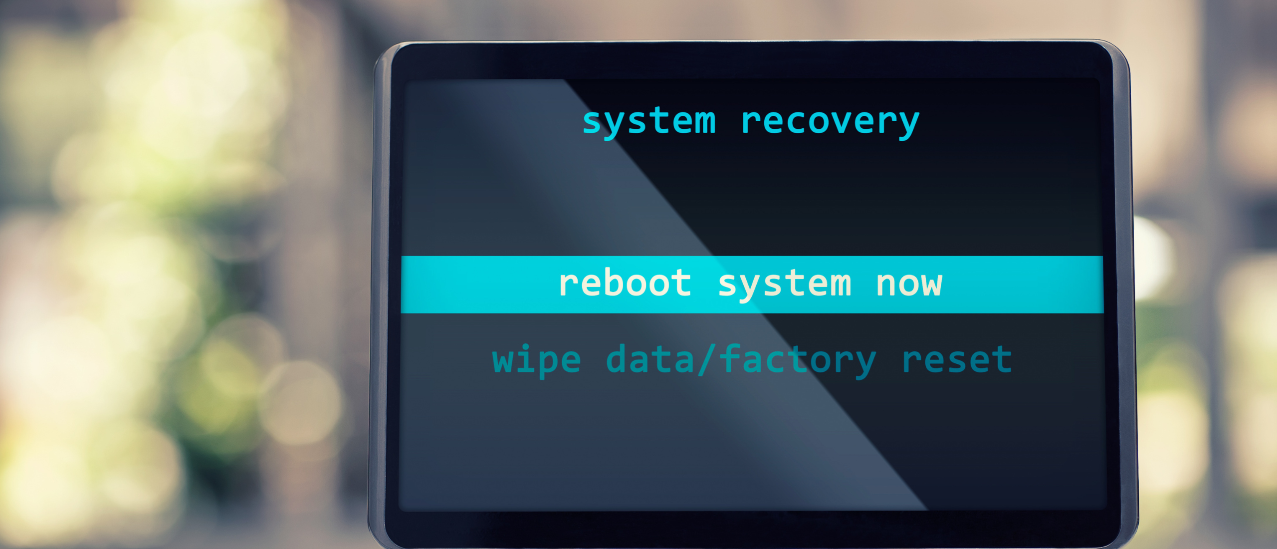 wat-is-rooten wat-is-rooten