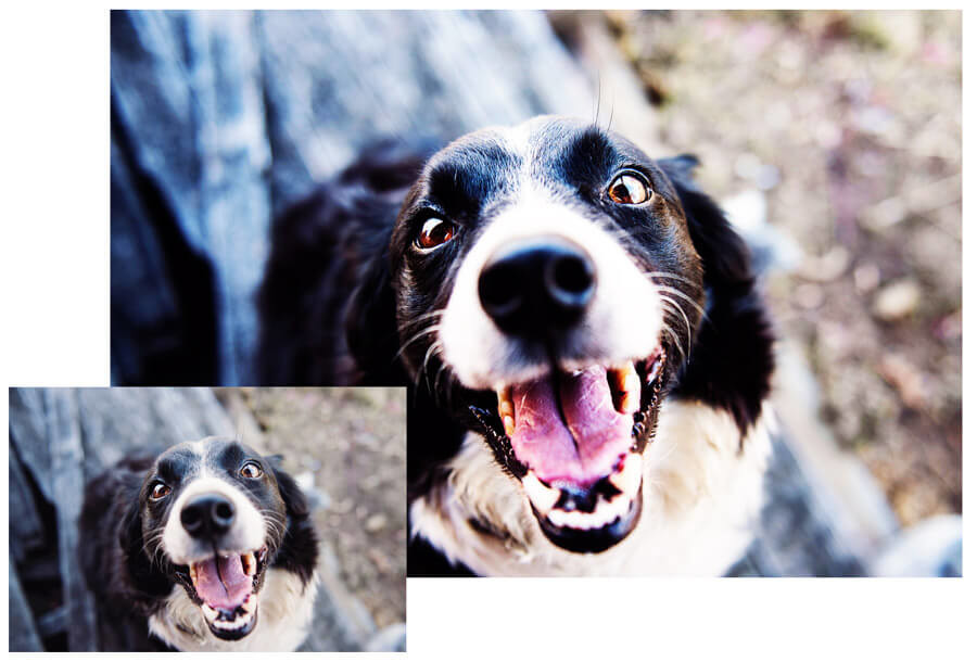 krijg meer contrast in Photoshop met overlay voor mooie effecten