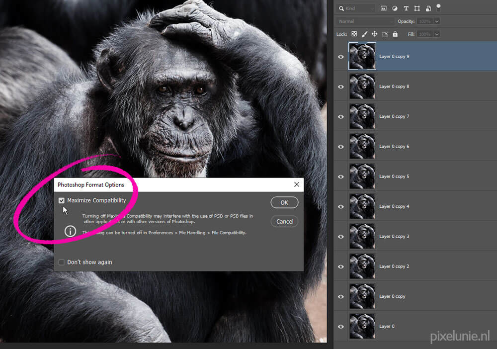 Photoshop laat je kiezen of je PSD bestand compatibel moet zijn met oudere versies Photoshop laat je kiezen of je PSD bestand compatibel moet zijn met oudere versies