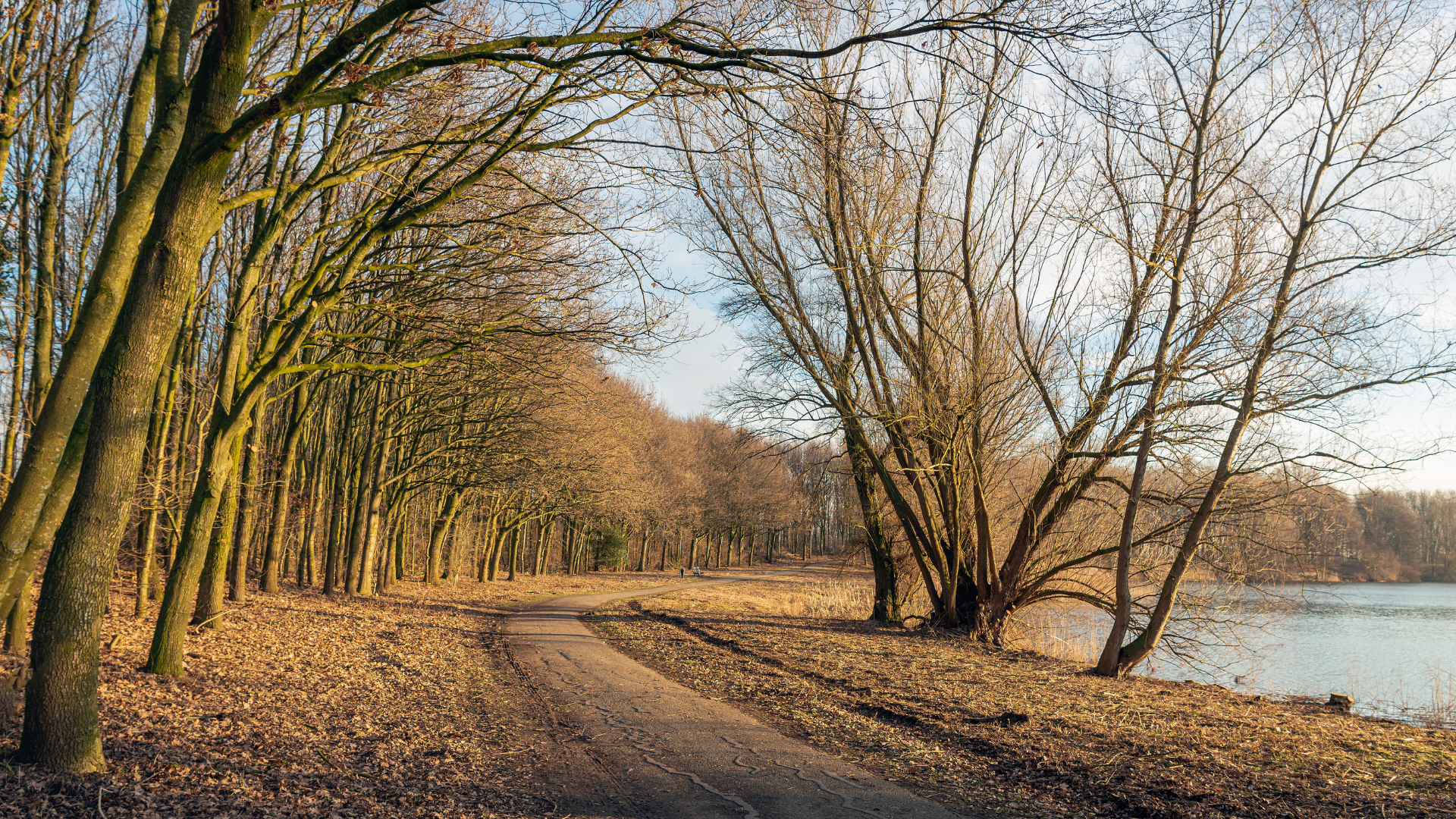 Fietsroutes In Brabant: Deze 7 Moet Je Gefietst Hebben