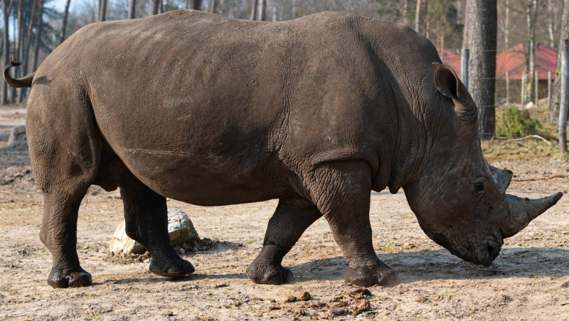 Familie uitje Tilburg bij Safaripark Beekse Bergen