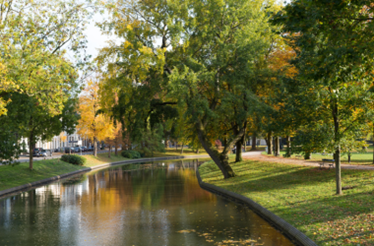 Ontsnap aan de drukte in de natuurgebieden in Utrecht