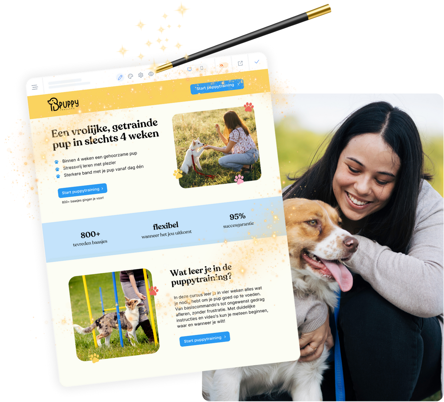 Puppy training online business