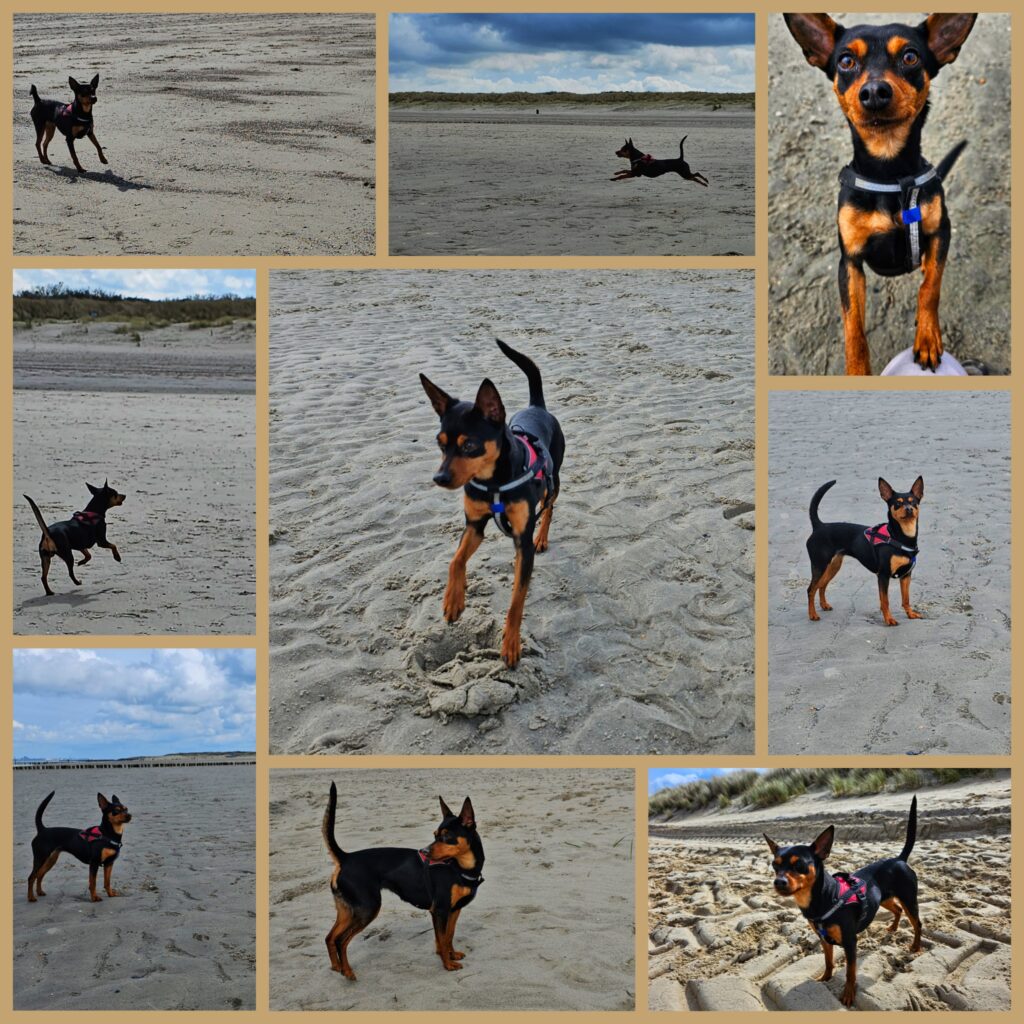 Lana op het strand in Groede