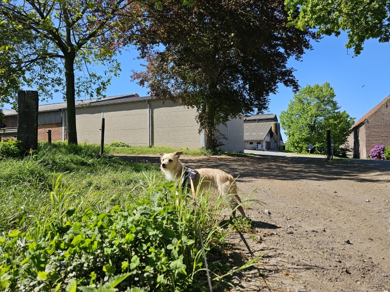 Afsnee-Keuze wandeling Afsnee-Keuze wandeling