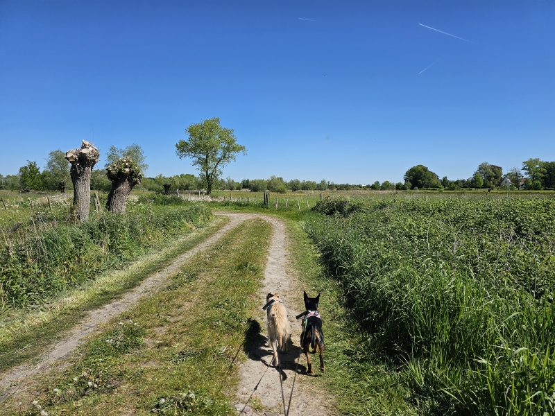 Afsnee wandeling Keuzemeersen Afsnee wandeling Keuzemeersen