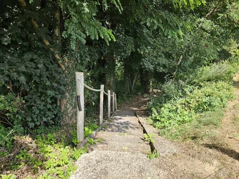 Appels wandelroute met hond