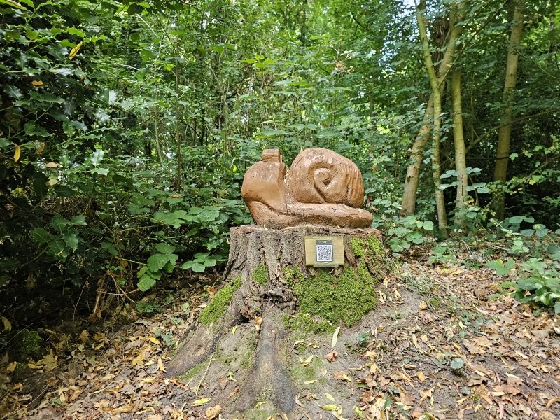 Beeldhouwwerken uit boomstammen langs het dulpoezenpad in het toverbos in Burcht