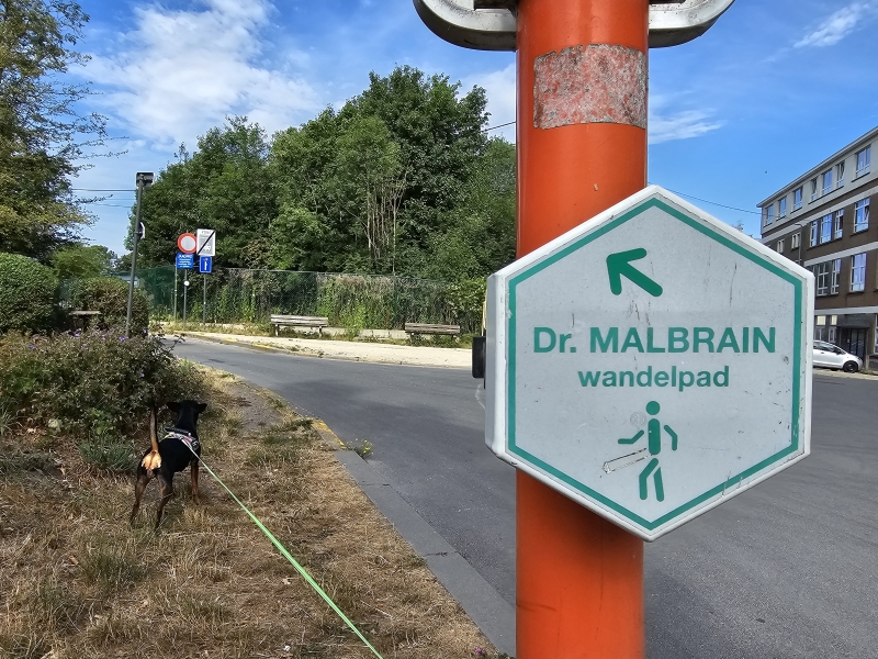 Bewegwijzerde wandelroute in DendermondeDr. Malbrainpad rolstoelvriendelijk Bewegwijzerde wandelroute in DendermondeDr. Malbrainpad rolstoelvriendelijk