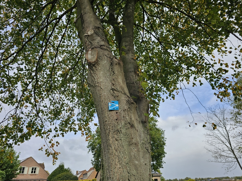 Bewegwijzerde wandelroute in Wetteren: blauwe driehoekjes