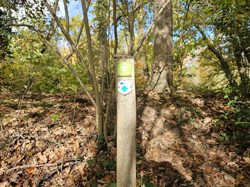 Bewegwijzerde wandelroute in Zemst door het bos en langs de weilanden met hond Bewegwijzerde wandelroute in Zemst door het bos en langs de weilanden met hond