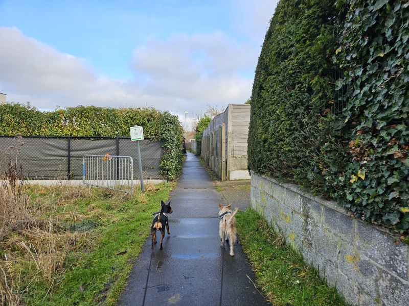 Birrebeekvallei Meise wandelen