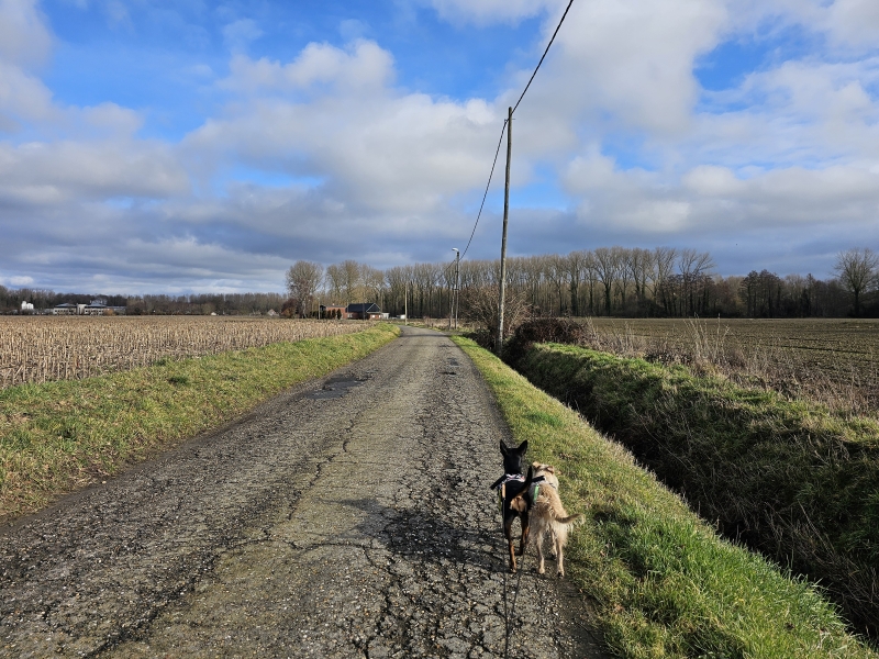 Birrebeekvallei rode wandelroute door Meise