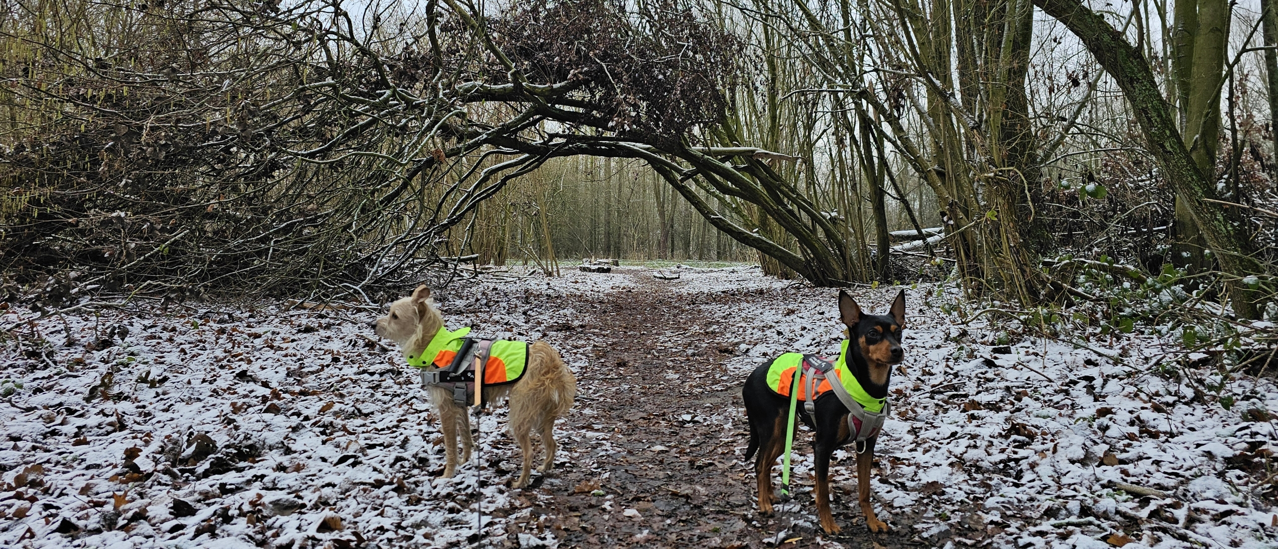 Blauwe wandeling door de Wellemeersen in Denderleeuw