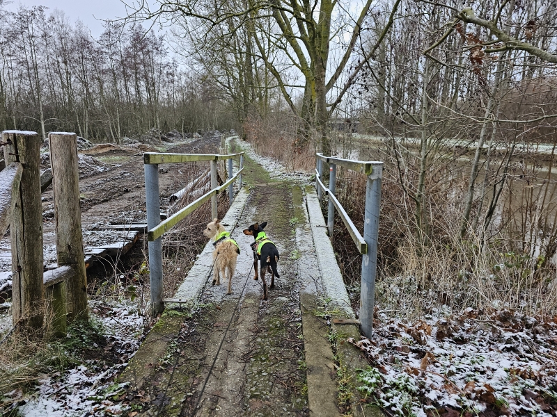 Blauwe wandelroute door het natuurgebied de Wellemeersen in Welle, Denderleeuw, Oost-Vlaanderen