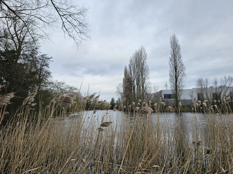 Bloemrijke Hooilanden in Destelbergen wandelroute Damvalleipad
