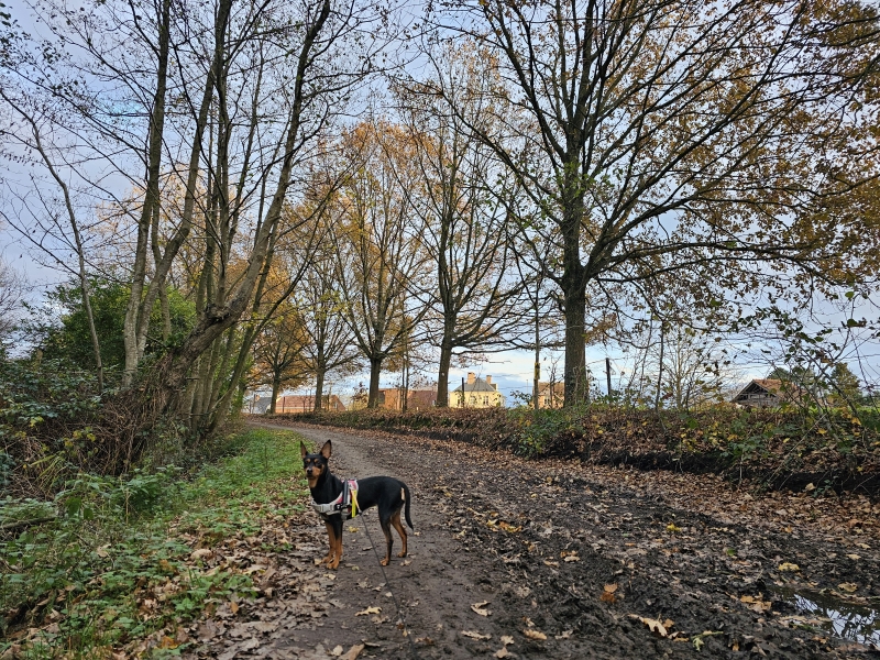 Bornem wandelroutes door de natuur en het bos