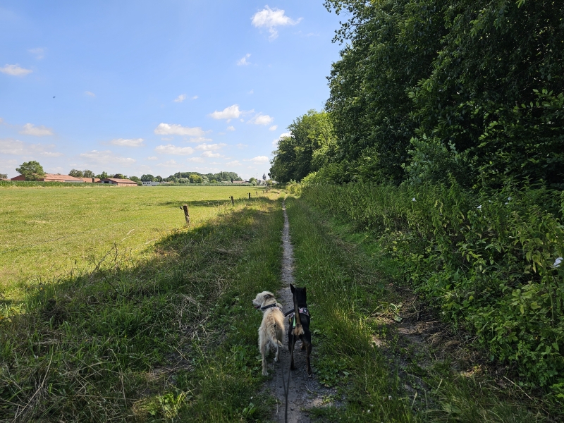 Boterstraatje trage weg in Poeke, Aalter