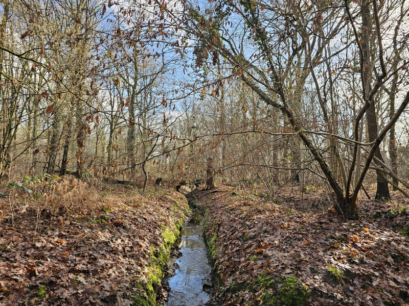 Brede Zeyp Sint-Katelijne-Waver