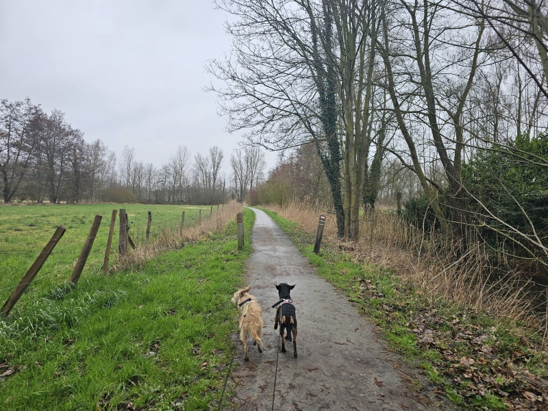 Damvallei wandelroute Destelbergen