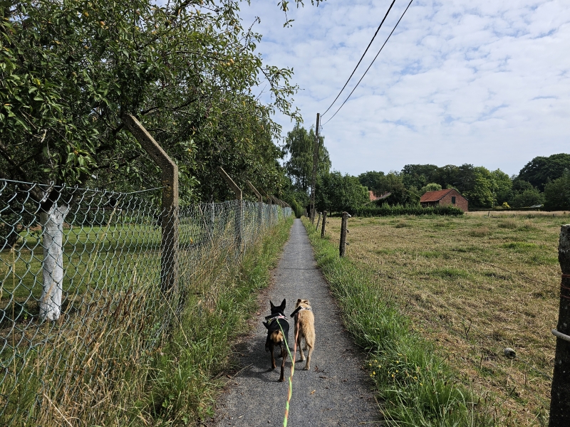 De Bezekoek wandelroute Belsele Sint-Niklaas