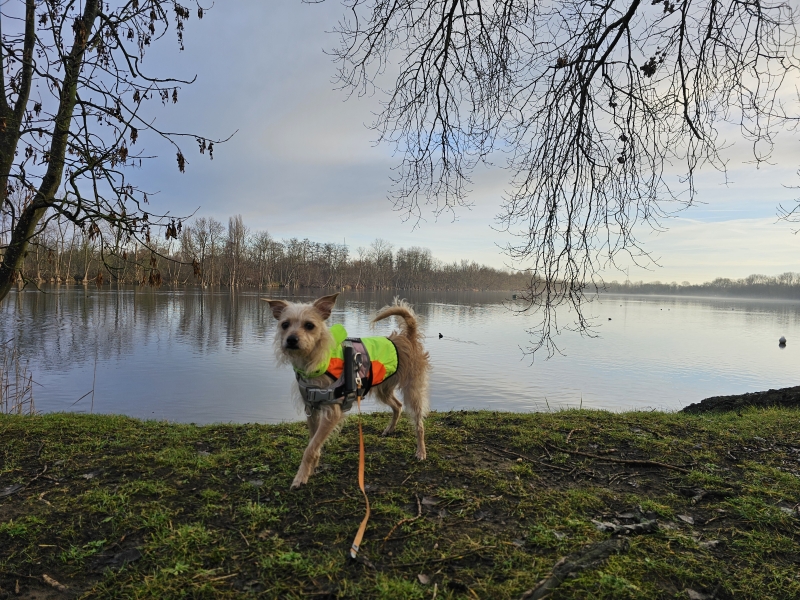 De Ekerse putten op het domein Muisbroek in Ekeren, Antwerpen