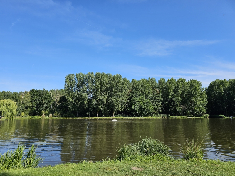De Gespoelde put in Hamme, tegenover het hondenbos