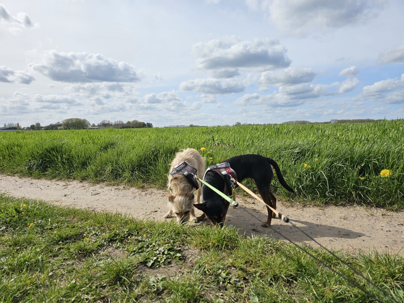 De Gondebeekvallei in Merelbeke