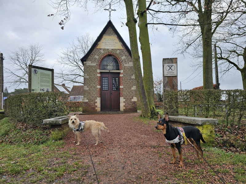 De kapel van het Heiken in Vorselaar De kapel van het Heiken in Vorselaar