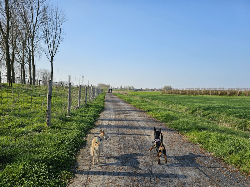 De Kieldrechtse Kreek Grote Geule