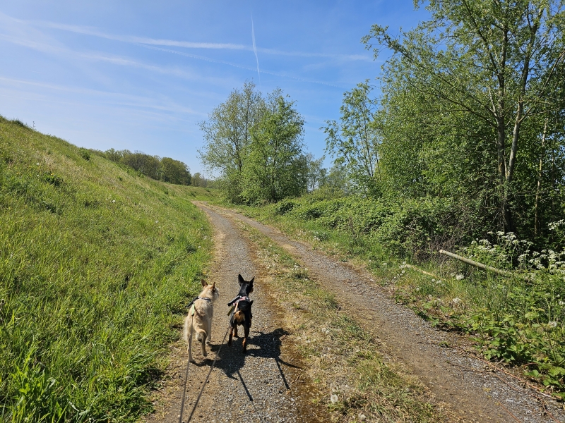 De Kleine Netevallei in Kessel, Nijlen De Kleine Netevallei in Kessel, Nijlen